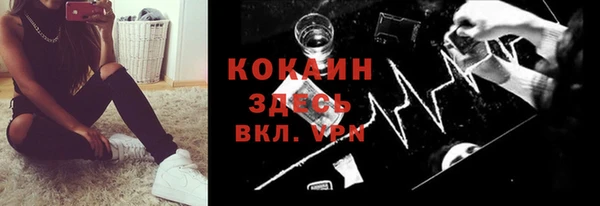 ешки Аркадак