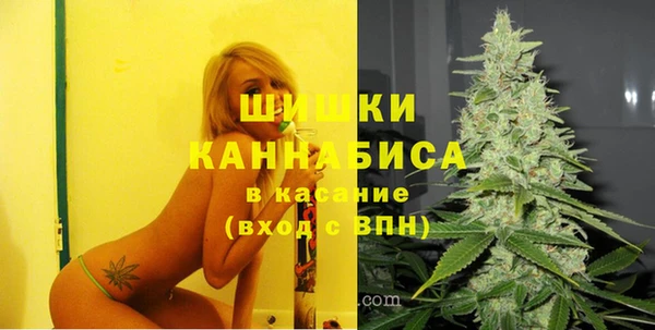 трава Арсеньев