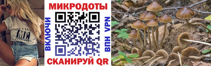 Псилоцибиновые грибы Magic Shrooms  KRAKEN ONION  Артёмовск  где продают  